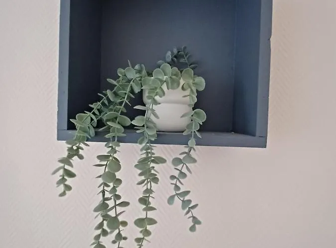 Lägenhet Rel'ax - T2 - Plein Coeur Ax - Literie De Qualite - Wifi - 200m Telecabine